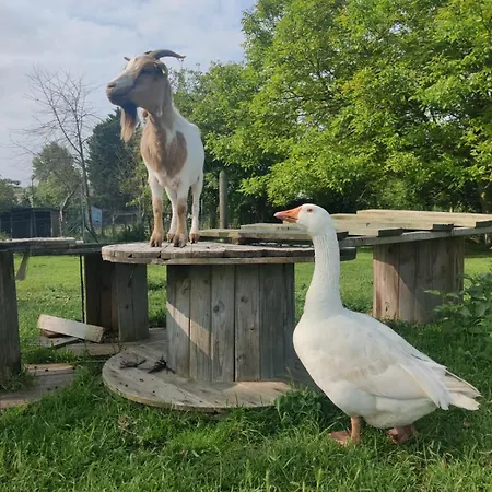 Côte De Nacre, 4 à 6p, La Ferme De Casa vacanze Valambray