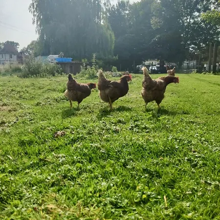 Cote De Nacre, 4 A 6p, La Ferme De *