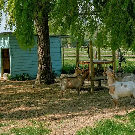 Cote De Nacre, 4 A 6p, La Ferme De * Valambray