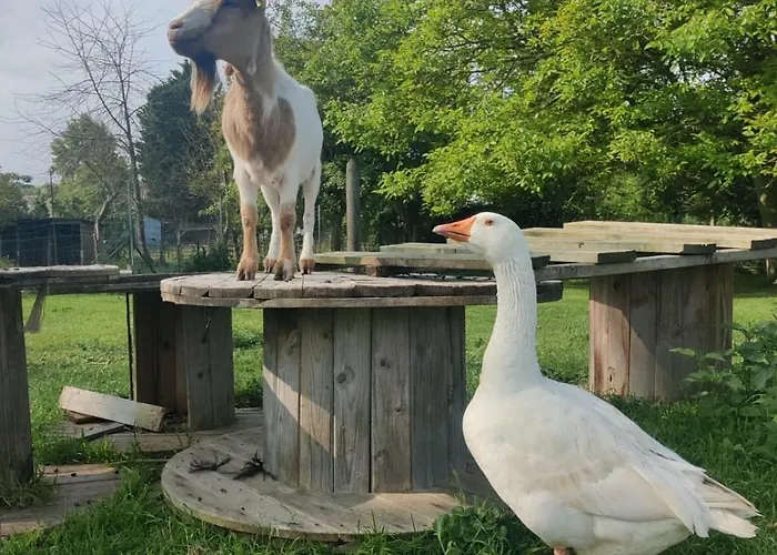 Cote De Nacre, 4 A 6p, La Ferme De بيت للعطل Valambray