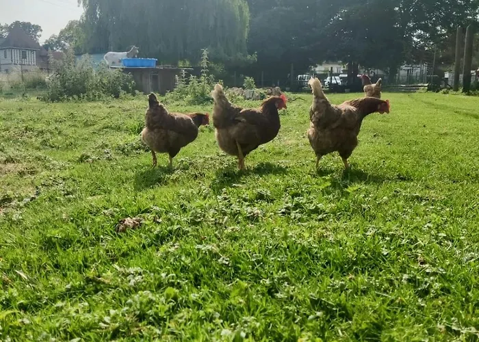 Cote De Nacre, 4 A 6p, La Ferme De *